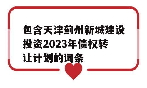 包含天津蓟州新城建设投资2023年债权转让计划的词条