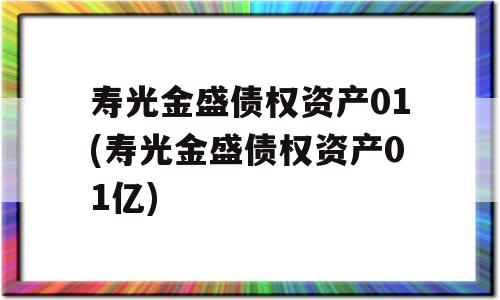 寿光金盛债权资产01(寿光金盛债权资产01亿)