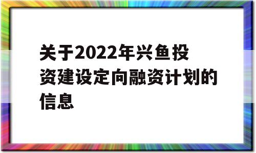 关于2022年兴鱼投资建设定向融资计划的信息