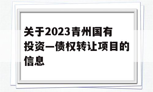 关于2023青州国有投资—债权转让项目的信息