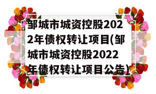 邹城市城资控股2022年债权转让项目(邹城市城资控股2022年债权转让项目公告)