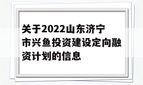 关于2022山东济宁市兴鱼投资建设定向融资计划的信息