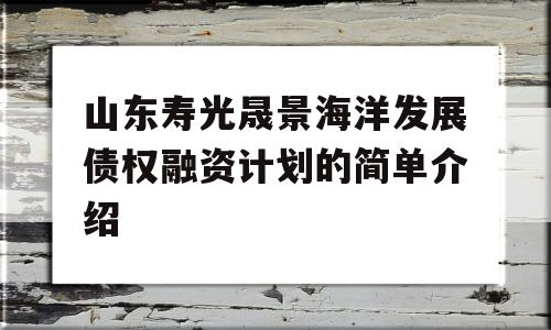 山东寿光晟景海洋发展债权融资计划的简单介绍