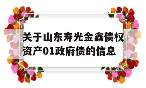 关于山东寿光金鑫债权资产01政府债的信息