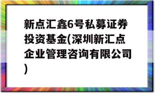 新点汇鑫6号私募证券投资基金(深圳新汇点企业管理咨询有限公司)