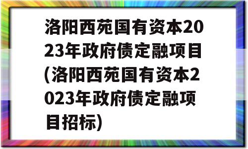 洛阳西苑国有资本2023年政府债定融项目(洛阳西苑国有资本2023年政府债定融项目招标)