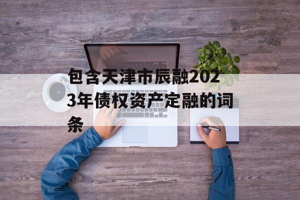 包含天津市辰融2023年债权资产定融的词条