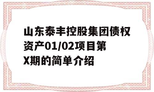 山东泰丰控股集团债权资产01/02项目第X期的简单介绍