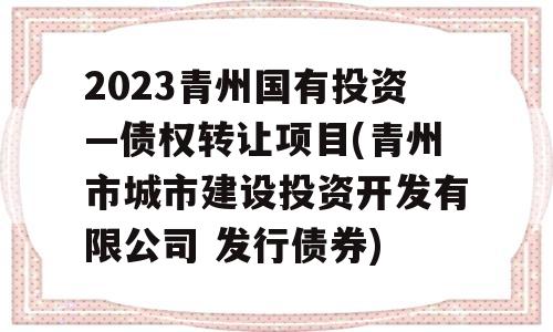 2023青州国有投资—债权转让项目(青州市城市建设投资开发有限公司 发行债券)