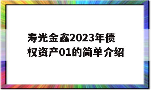 寿光金鑫2023年债权资产01的简单介绍