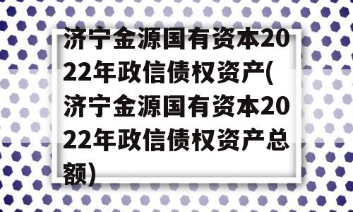 济宁金源国有资本2022年政信债权资产(济宁金源国有资本2022年政信债权资产总额)