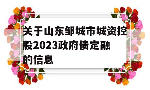 关于山东邹城市城资控股2023政府债定融的信息