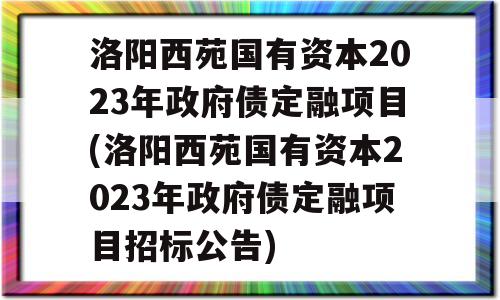 洛阳西苑国有资本2023年政府债定融项目(洛阳西苑国有资本2023年政府债定融项目招标公告)