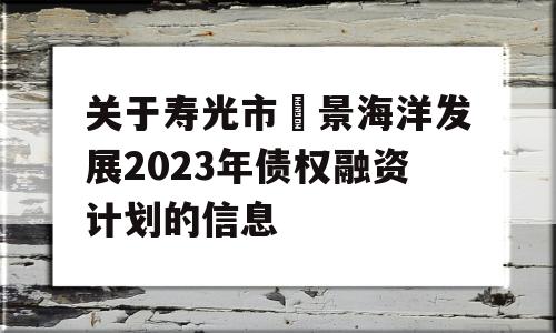 关于寿光市昇景海洋发展2023年债权融资计划的信息