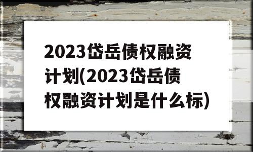 2023岱岳债权融资计划(2023岱岳债权融资计划是什么标)