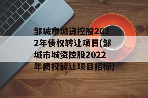 邹城市城资控股2022年债权转让项目(邹城市城资控股2022年债权转让项目招标)