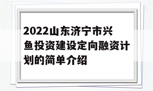 2022山东济宁市兴鱼投资建设定向融资计划的简单介绍