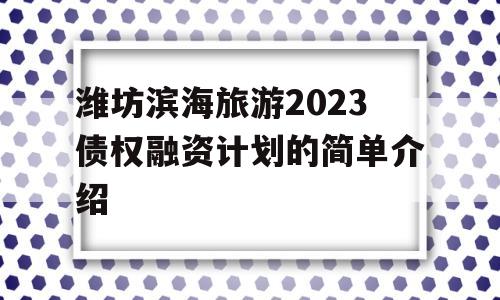 潍坊滨海旅游2023债权融资计划的简单介绍