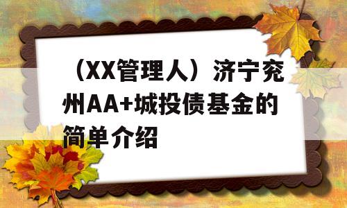 （XX管理人）济宁兖州AA+城投债基金的简单介绍