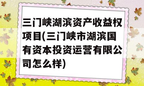 三门峡湖滨资产收益权项目(三门峡市湖滨国有资本投资运营有限公司怎么样)