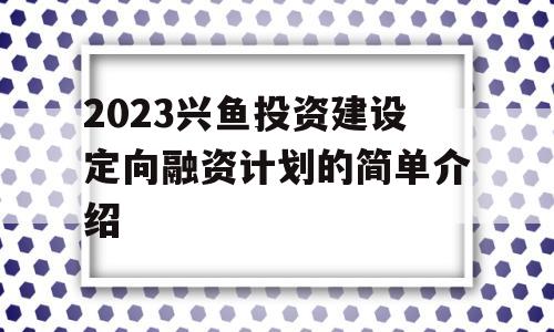 2023兴鱼投资建设定向融资计划的简单介绍