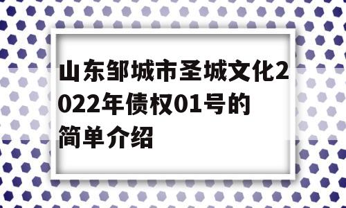 山东邹城市圣城文化2022年债权01号的简单介绍