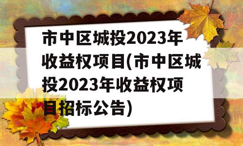 市中区城投2023年收益权项目(市中区城投2023年收益权项目招标公告)