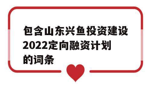 包含山东兴鱼投资建设2022定向融资计划的词条