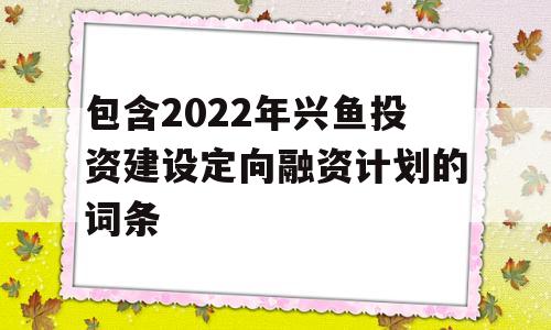 包含2022年兴鱼投资建设定向融资计划的词条