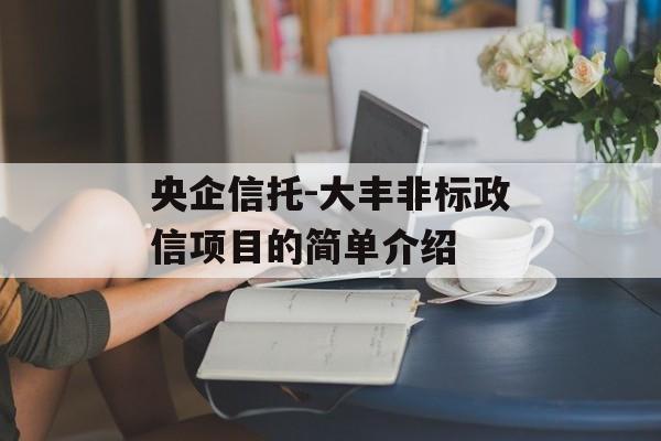 央企信托-大丰非标政信项目的简单介绍