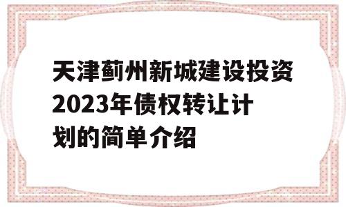 天津蓟州新城建设投资2023年债权转让计划的简单介绍