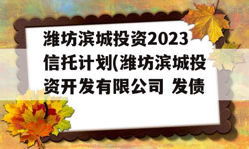 潍坊滨城投资2023信托计划(潍坊滨城投资开发有限公司 发债)