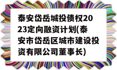 泰安岱岳城投债权2023定向融资计划(泰安市岱岳区城市建设投资有限公司董事长)