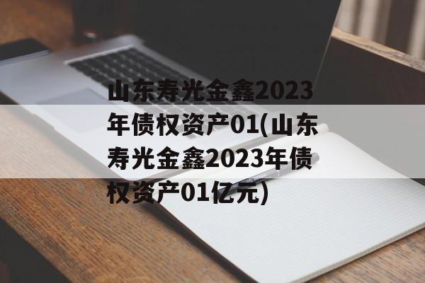 山东寿光金鑫2023年债权资产01(山东寿光金鑫2023年债权资产01亿元)