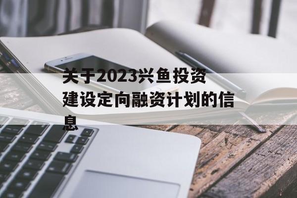 关于2023兴鱼投资建设定向融资计划的信息