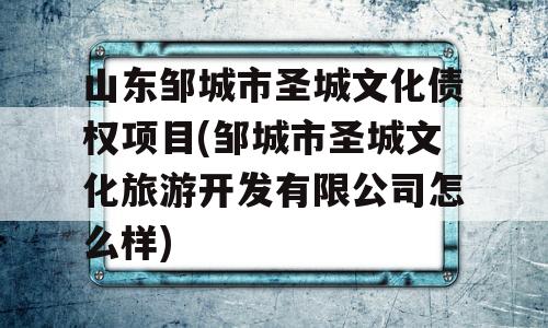 山东邹城市圣城文化债权项目(邹城市圣城文化旅游开发有限公司怎么样)