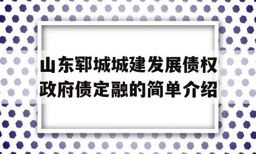 山东郓城城建发展债权政府债定融的简单介绍