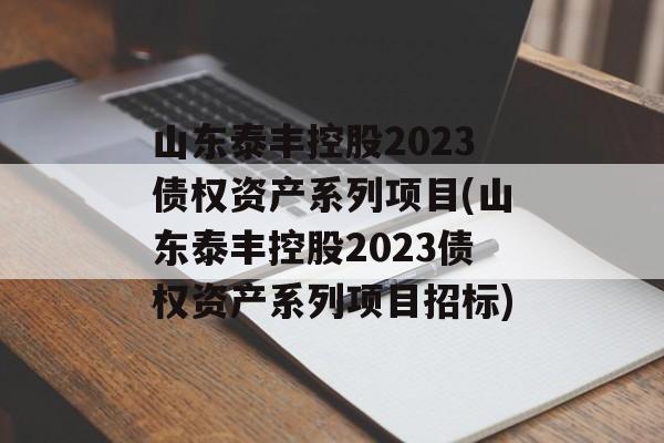 山东泰丰控股2023债权资产系列项目(山东泰丰控股2023债权资产系列项目招标)