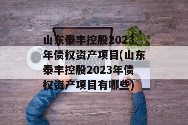 山东泰丰控股2023年债权资产项目(山东泰丰控股2023年债权资产项目有哪些)