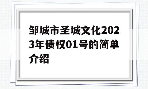 邹城市圣城文化2023年债权01号的简单介绍