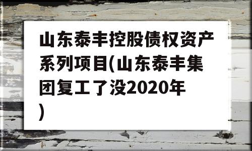 山东泰丰控股债权资产系列项目(山东泰丰集团复工了没2020年)