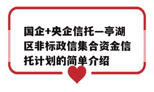 国企+央企信托—亭湖区非标政信集合资金信托计划的简单介绍