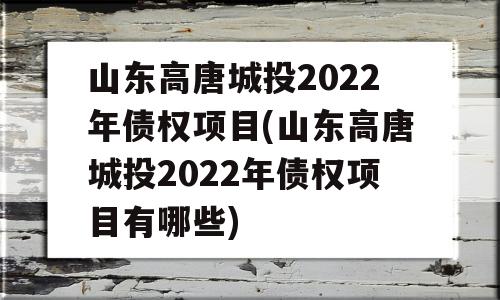 山东高唐城投2022年债权项目(山东高唐城投2022年债权项目有哪些)