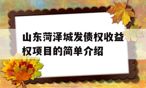 山东菏泽城发债权收益权项目的简单介绍