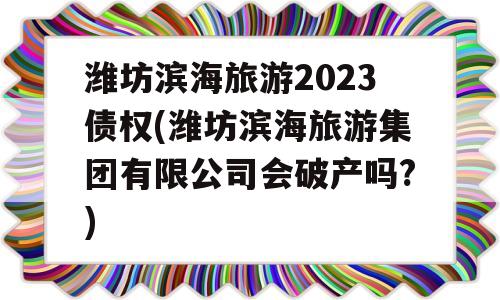 潍坊滨海旅游2023债权(潍坊滨海旅游集团有限公司会破产吗?)