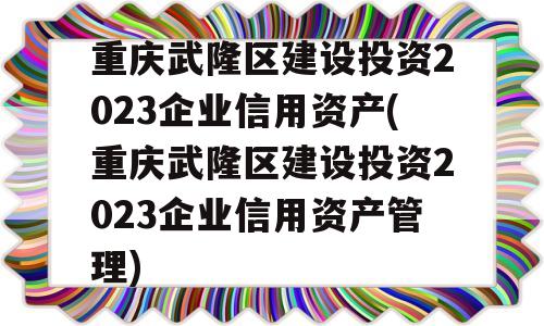 重庆武隆区建设投资2023企业信用资产(重庆武隆区建设投资2023企业信用资产管理)