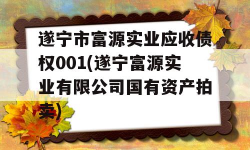 遂宁市富源实业应收债权001(遂宁富源实业有限公司国有资产拍卖)