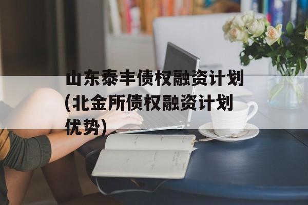 山东泰丰债权融资计划(北金所债权融资计划优势)