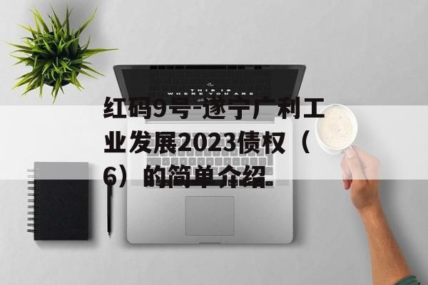 红码9号-遂宁广利工业发展2023债权（6）的简单介绍