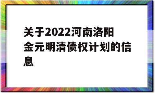 关于2022河南洛阳金元明清债权计划的信息